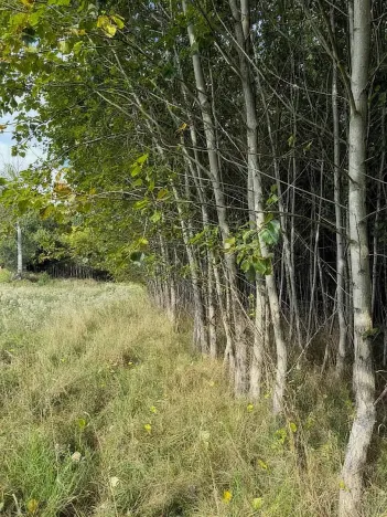 Prodej pole, Česká Kamenice, 108179 m2