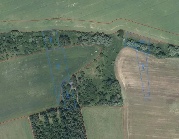 Prodej pole, Prostějovičky, 4403 m2