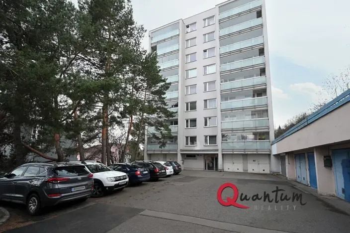 Prodej bytu 2+kk, Praha - Žižkov, Pod lipami, 61 m2