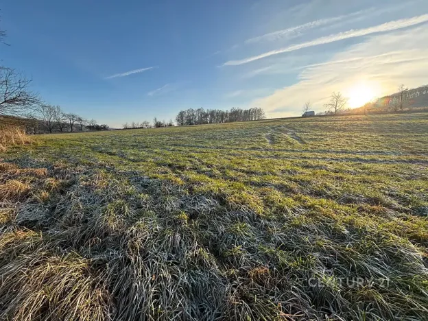 Prodej komerčního pozemku, Velká Bukovina, 20188 m2