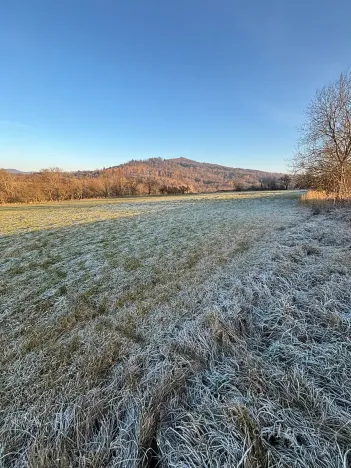 Prodej komerčního pozemku, Velká Bukovina, 20188 m2