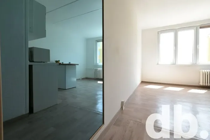 Prodej bytu 1+kk, Chodov, Čapkova, 21 m2