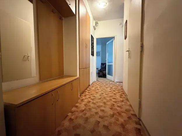 Prodej bytu 2+1, Brno, Kabátníkova, 54 m2