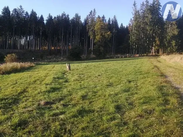 Prodej pozemku, Želnava, 14303 m2