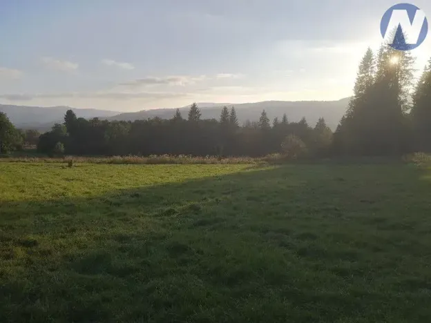 Prodej pozemku, Želnava, 14303 m2