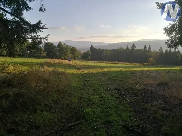 Prodej pozemku, Želnava, 14303 m2