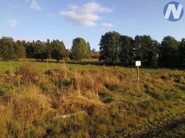 Prodej pozemku, Želnava, 14303 m2