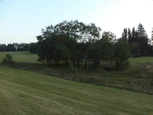 Dražba louky, Čistá u Horek, 14711 m2