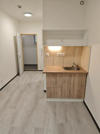 Pronájem bytu 1+kk, Praha - Hlubočepy, Na Zlíchově, 20 m2
