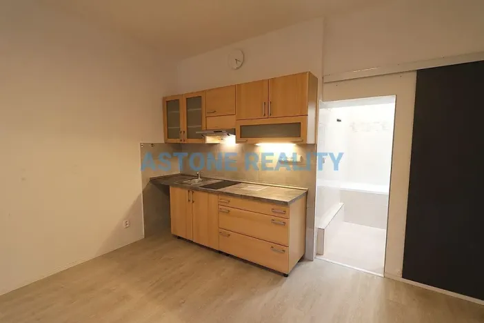 Pronájem bytu 1+kk, Praha - Nusle, Na Jezerce, 39 m2