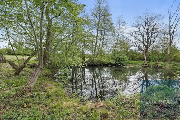 Prodej zemědělské usedlosti, Petrůvky, 2953 m2