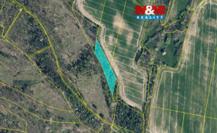 Prodej lesa, Kravaře, 4458 m2