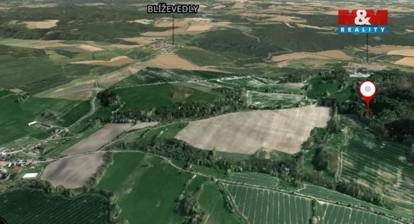 Prodej lesa, Kravaře, 4458 m2