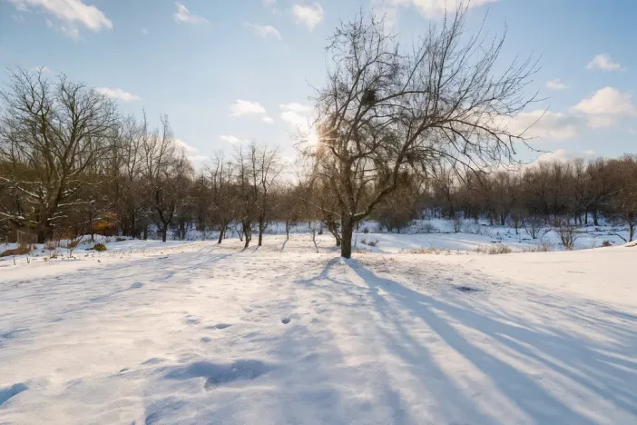 Prodej rodinného domu, Havířov - Prostřední Suchá, Stará, 180 m2