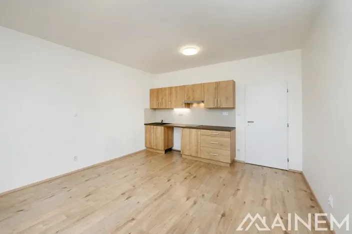 Prodej bytu 1+kk, Plzeň, Magisterská, 30 m2