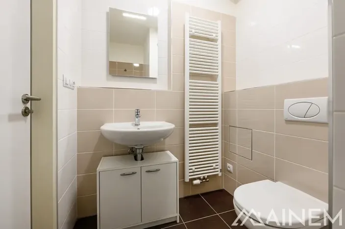 Prodej bytu 1+kk, Plzeň, Magisterská, 30 m2