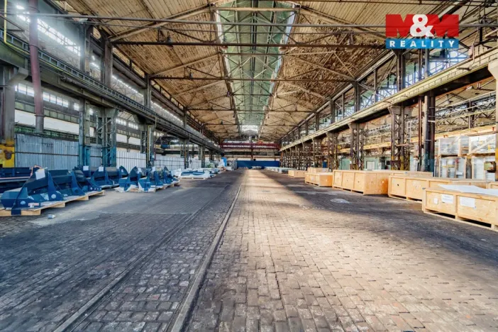 Pronájem výrobních prostor, Ostrava - Vítkovice, 1000 m2