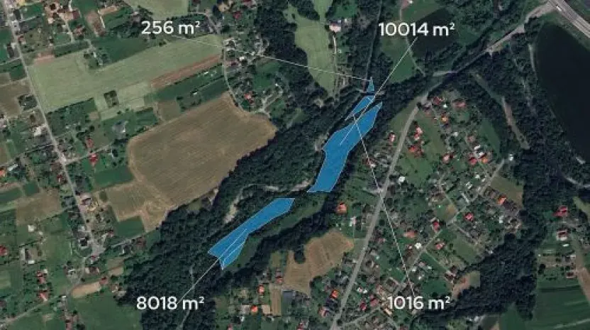 Prodej podílu lesa, Bystřice, 6434 m2