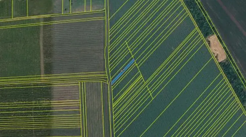 Prodej pole, Lipov, 520 m2