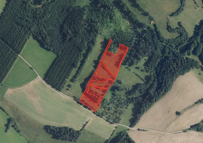 Prodej louky, Zábřeh, 22157 m2