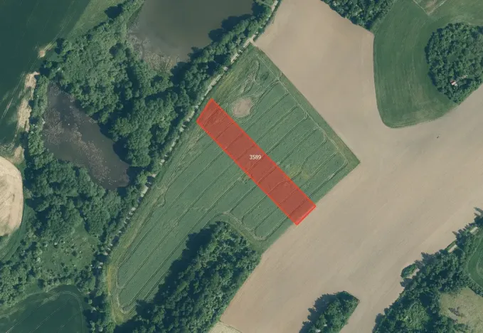 Prodej pole, Kout na Šumavě, 31661 m2