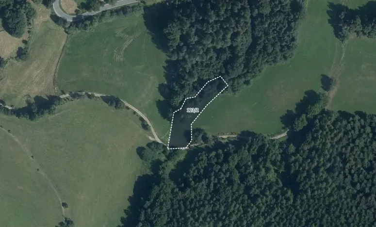 Prodej louky, Zborov, 9806 m2