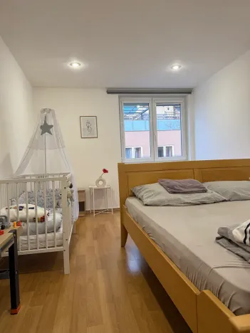 Pronájem bytu 5+kk, Brno, Skořepka, 146 m2