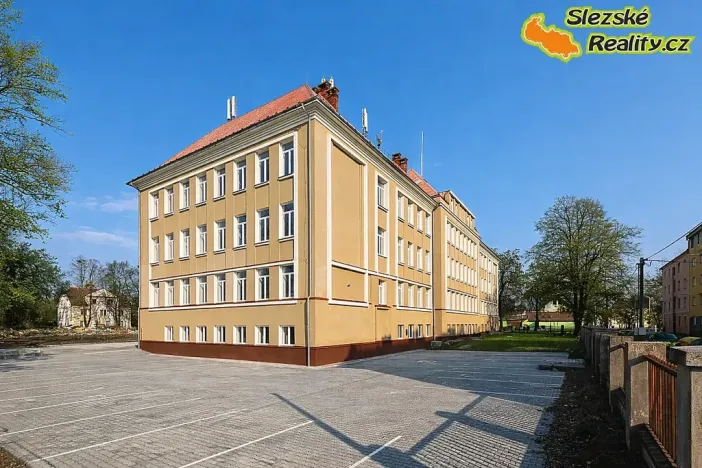 Pronájem bytu 1+kk, Ostrava, Palackého, 26 m2