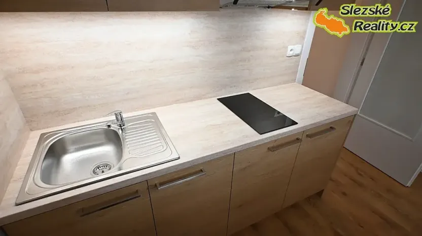 Pronájem bytu 1+kk, Ostrava, Palackého, 26 m2