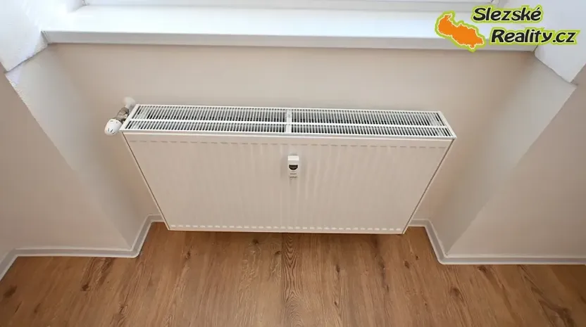 Pronájem bytu 1+kk, Ostrava, Palackého, 26 m2