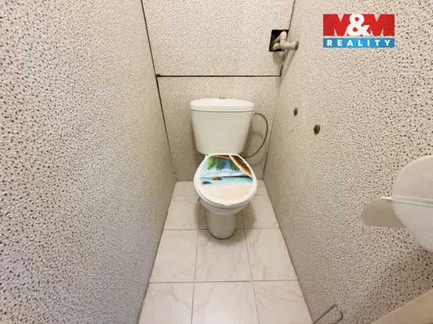 Prodej bytu 2+1, Karviná - Ráj, Borovského, 55 m2