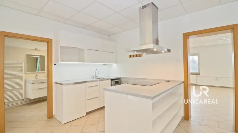 Pronájem obchodního prostoru, Moravany, Modřická, 167 m2