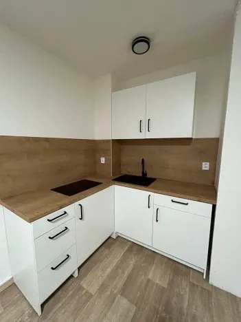 Pronájem bytu 1+kk, Přerov, Trávník, 23 m2