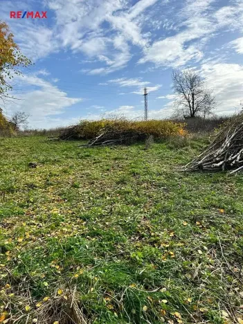 Prodej pozemku pro bydlení, Planá, 3965 m2