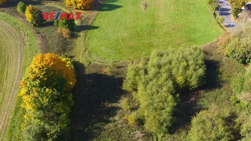 Prodej pozemku pro bydlení, Planá, 3965 m2