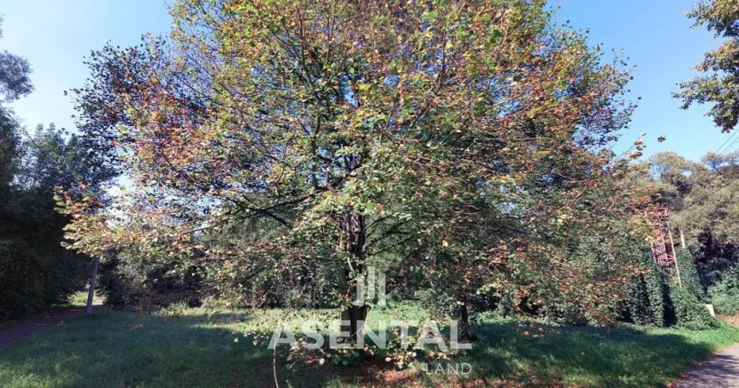 Prodej pozemku, Ostrava - Radvanice, Na Hrázkách, 12371 m2