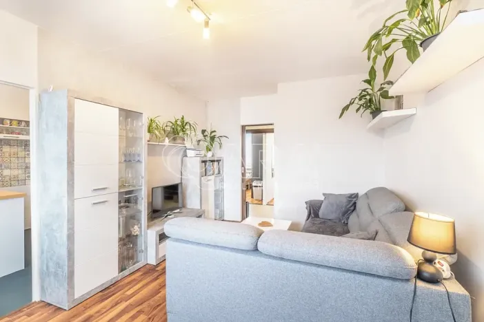 Prodej bytu 3+1, Praha - Střížkov, Rumburská, 55 m2