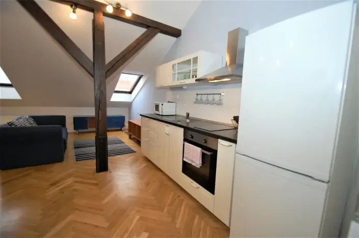 Pronájem bytu 1+kk, Praha - Vinohrady, Sázavská, 56 m2
