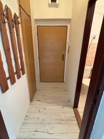 Pronájem bytu 1+kk, Frýdek-Místek, Bruzovská, 25 m2