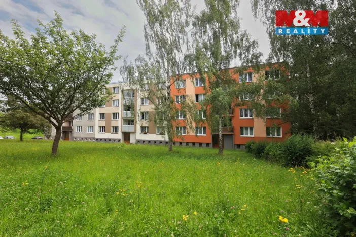 Pronájem bytu 2+1, Domažlice - Týnské Předměstí, Mánesova, 60 m2