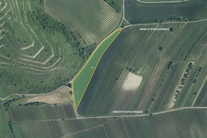 Prodej pole, Dolní Dunajovice, 139332 m2