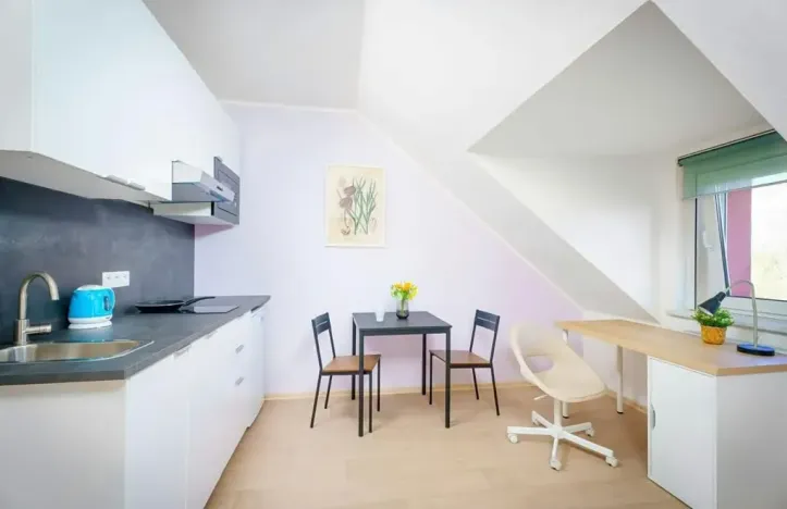 Pronájem bytu 1+kk, Praha - Žižkov, U kněžské louky, 25 m2