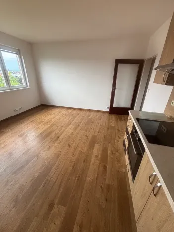 Pronájem bytu 1+kk, Prostějov, Netušilova, 34 m2