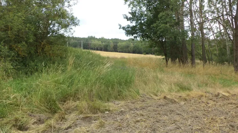 Prodej zahrady, Heřmanova Huť - Vlkýš, 1100 m2