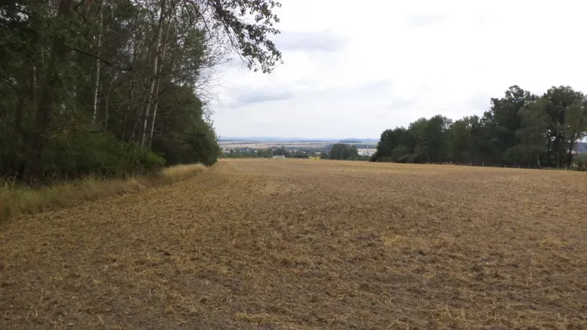 Prodej zahrady, Heřmanova Huť - Vlkýš, 1100 m2