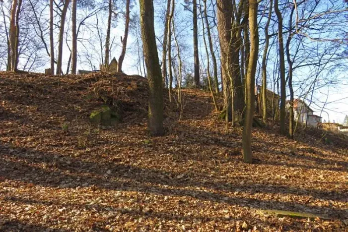 Prodej lesa, Čerčany, 394 m2