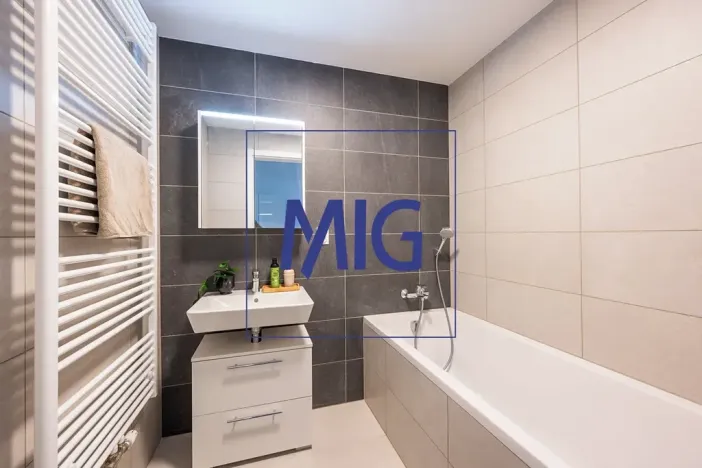 Pronájem bytu 2+kk, Brno, Spolková, 48 m2