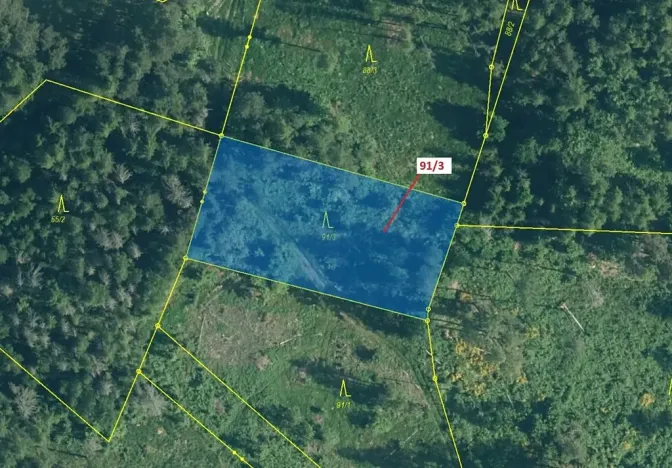 Dražba lesa, Pačejov, 1958 m2