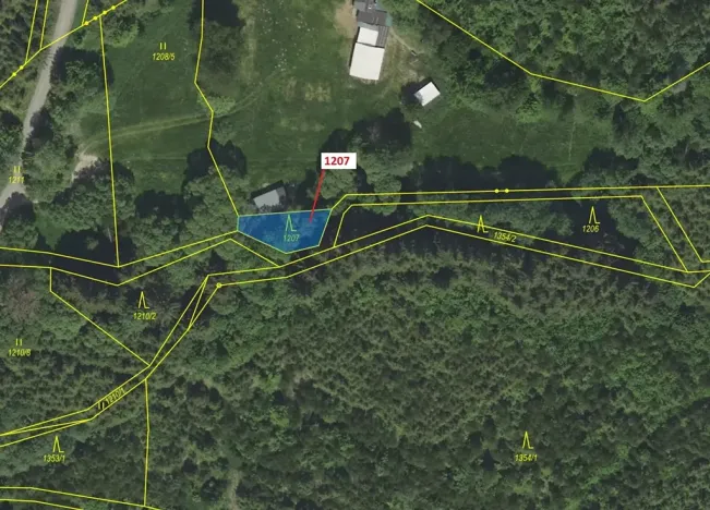 Dražba lesa, Čestín, 198 m2