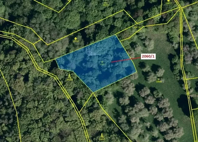 Dražba louky, Slopné, 2555 m2